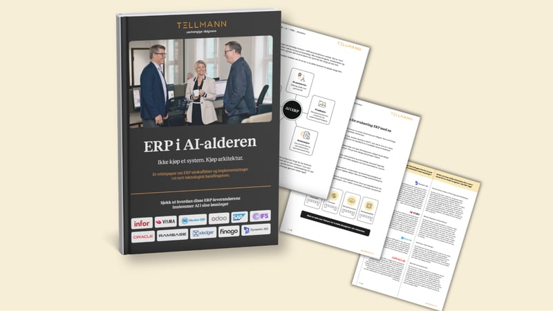 ERP i AI-alderen Mock-up utkast