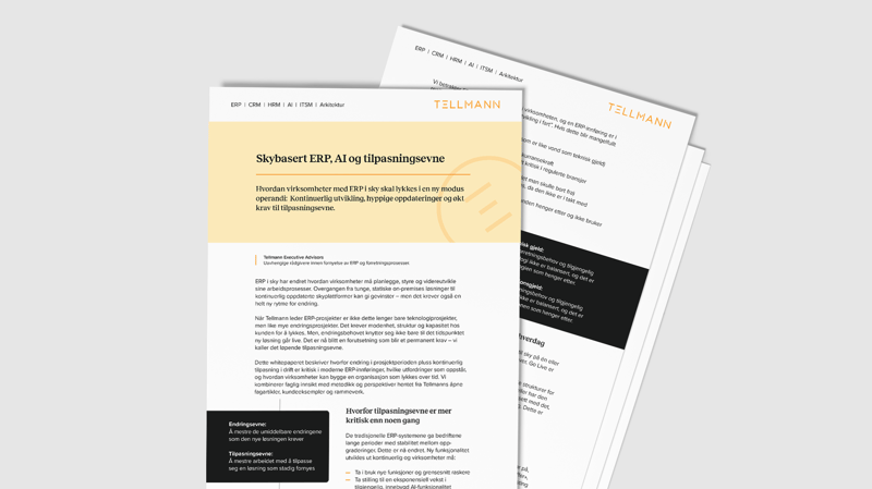 Tellmann_whitepaper_mockup_Skybasert