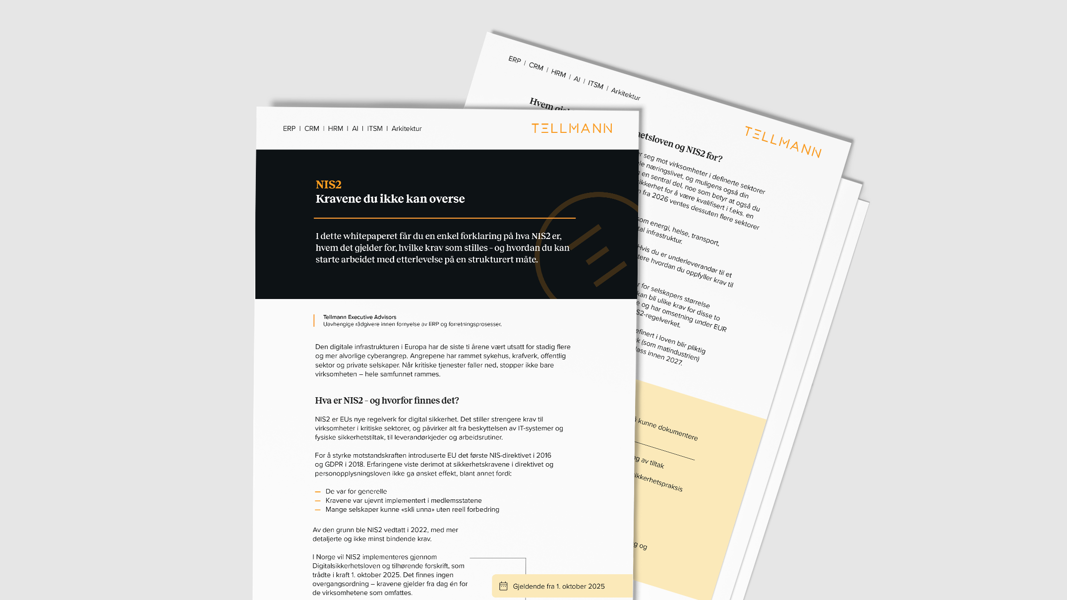 Tellmann_whitepaper_mockup_NIS2